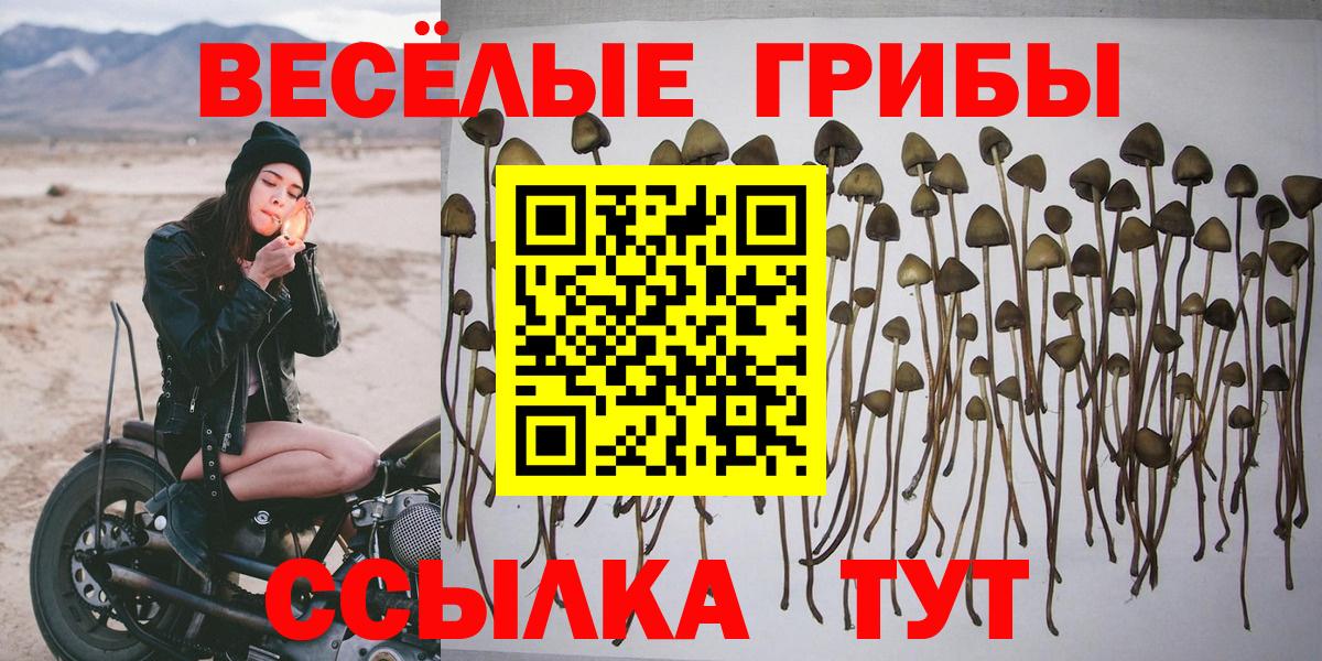 Галлюциногенные грибы мухоморы Михайловск