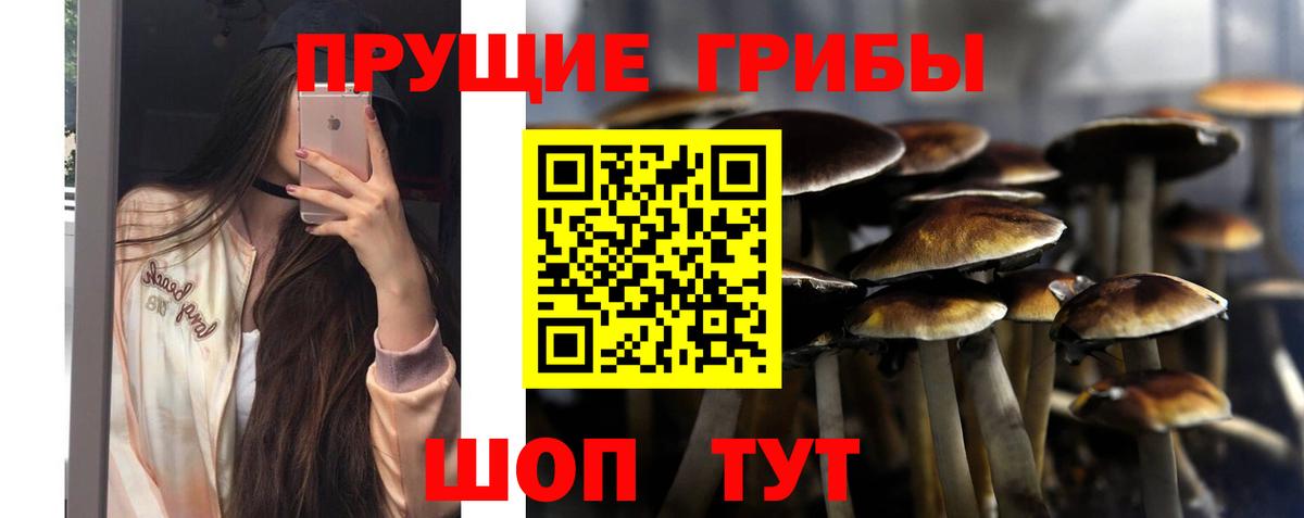 Михайловск  Псилоцибиновые грибы Cubensis  Псилоцибиновые грибы мухоморы  Вход с VPN 